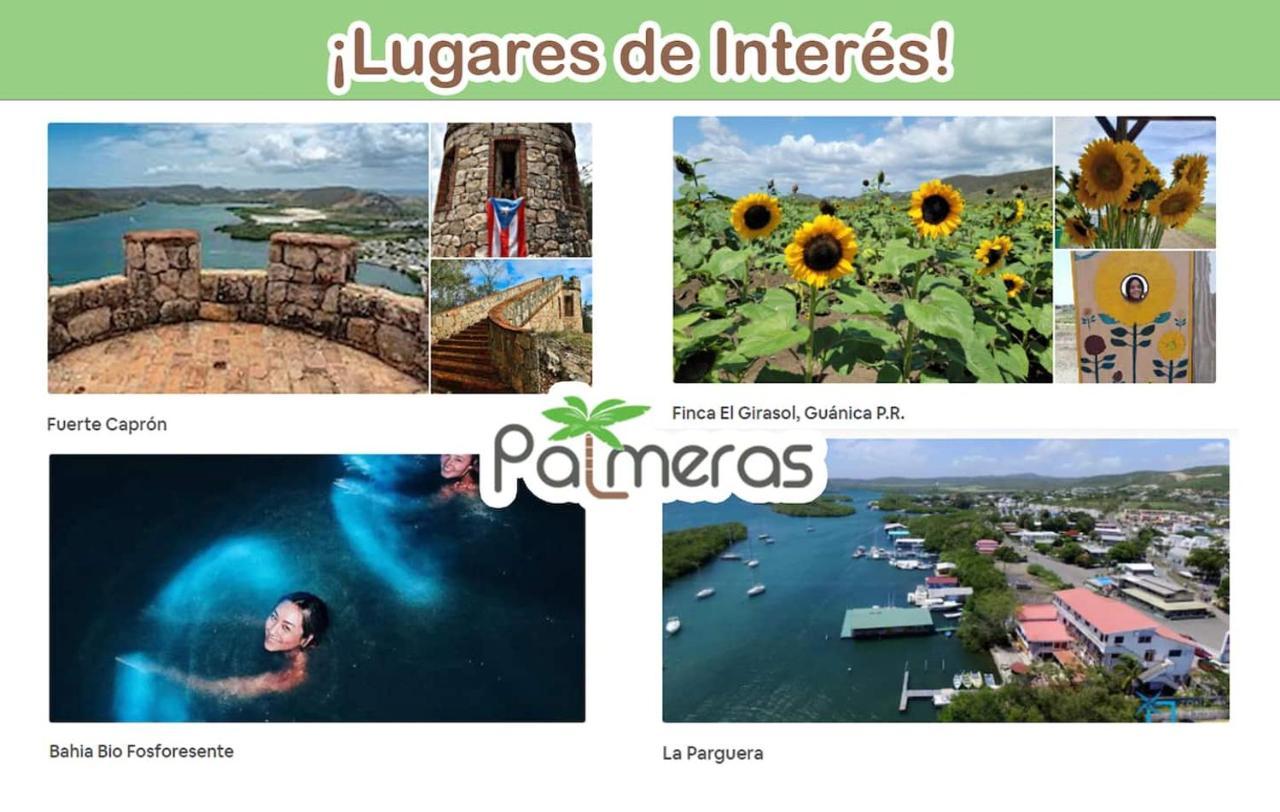 Palmeras Beach Apartments - Playa Santa Guanica Exteriér fotografie