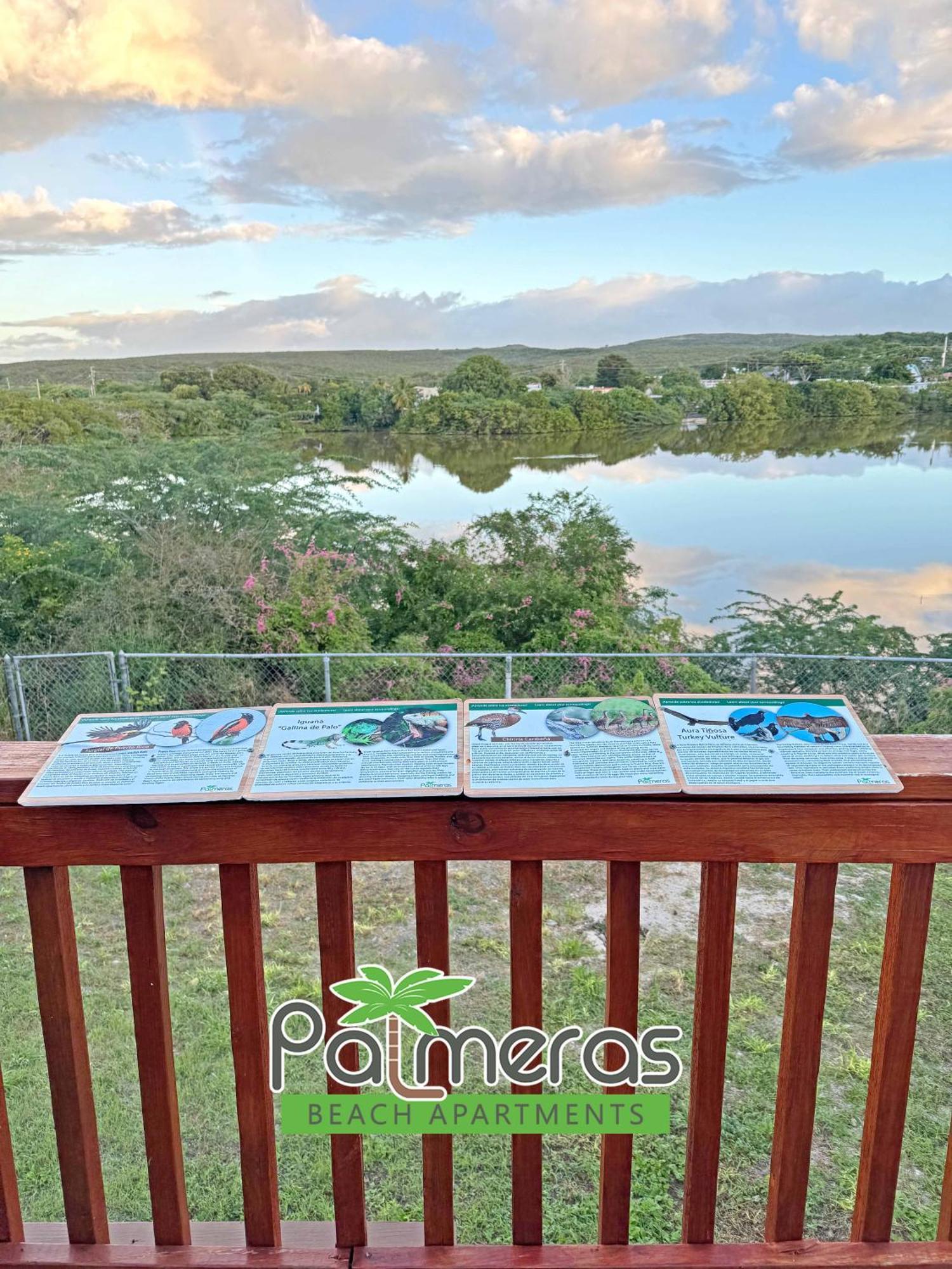 Palmeras Beach Apartments - Playa Santa Guanica Pokoj fotografie